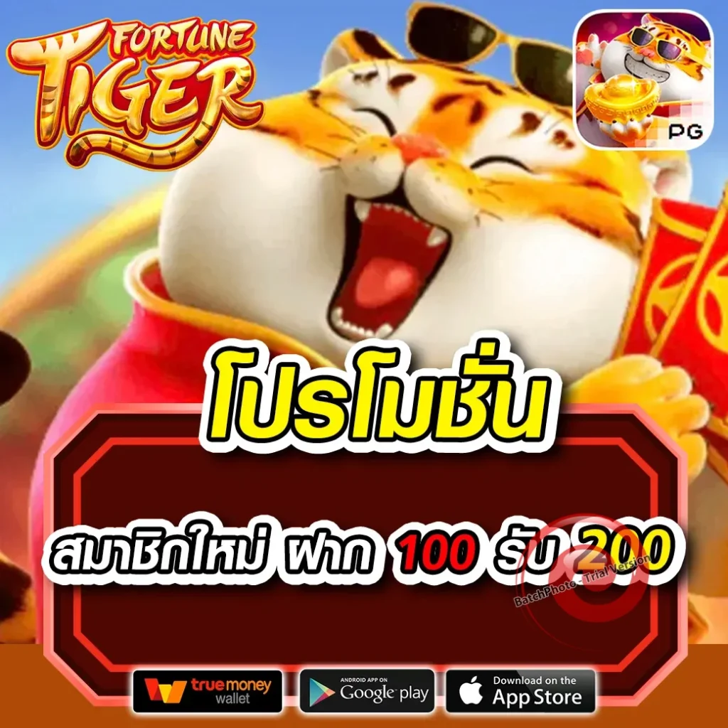 เว็บตรง jessica 1